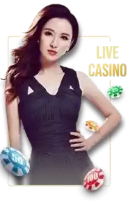 ki888 live casino category
